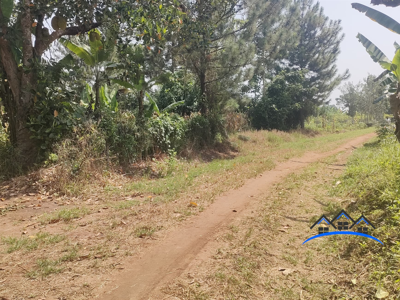 Farm for sale in Busunjju Mityana