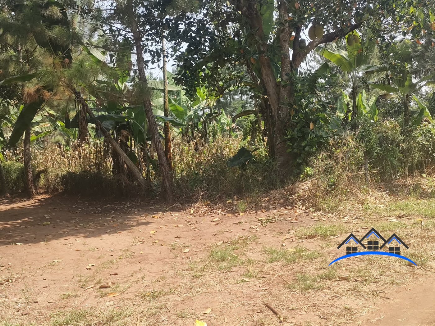 Farm for sale in Busunjju Mityana