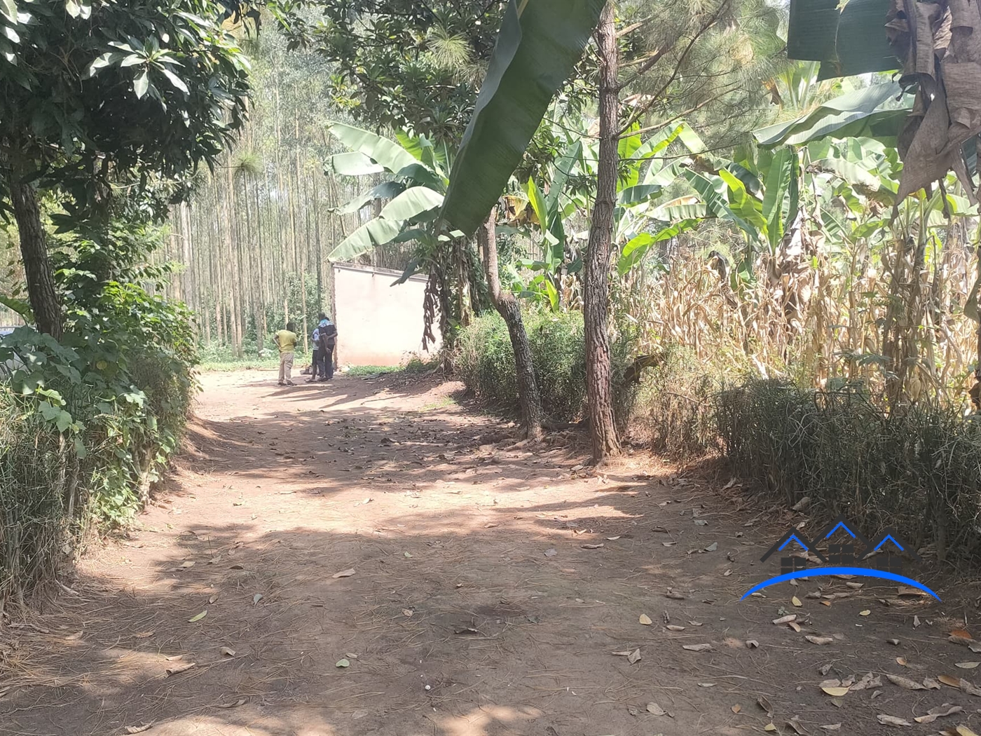 Farm for sale in Busunjju Mityana