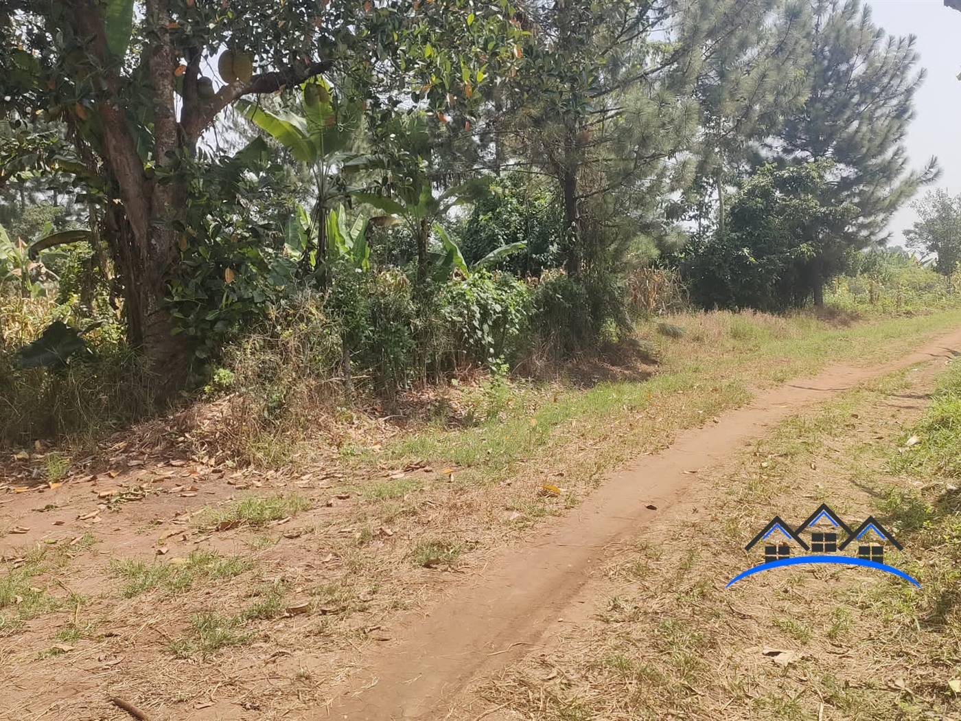 Farm for sale in Busunjju Mityana