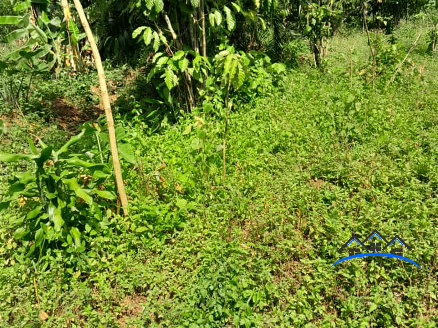 Agricultural Land for sale in Matugga Wakiso