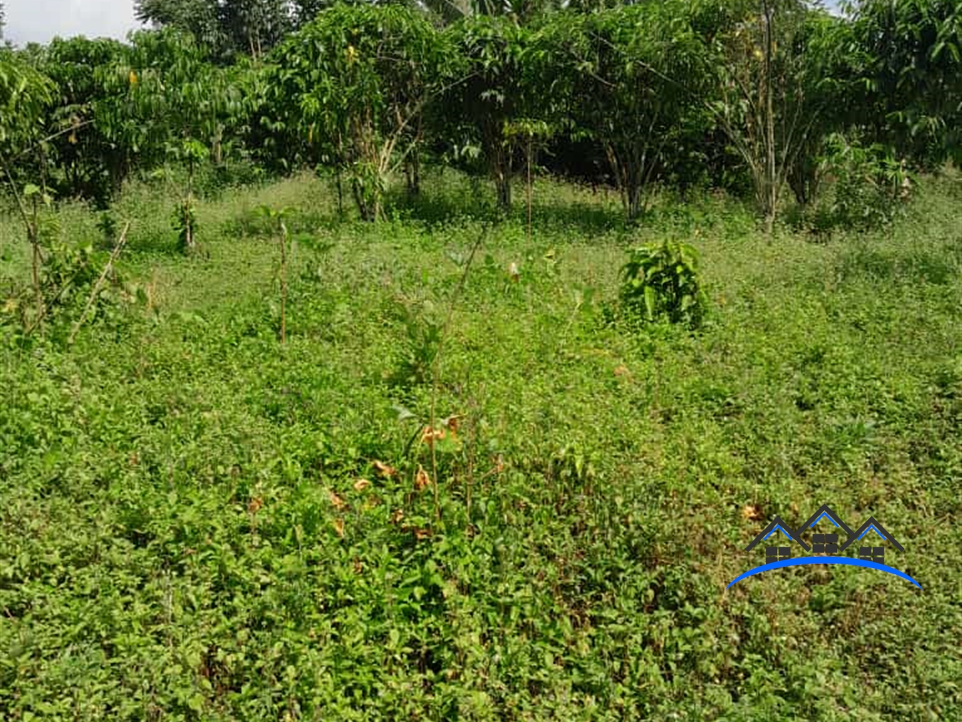 Agricultural Land for sale in Matugga Wakiso