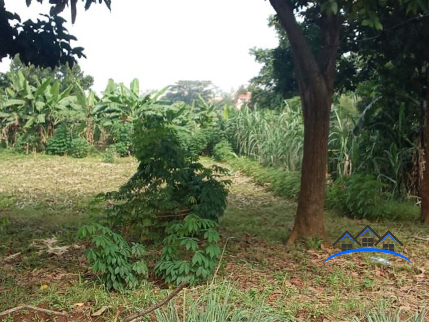 Residential Land for sale in Kiwaatule Kampala