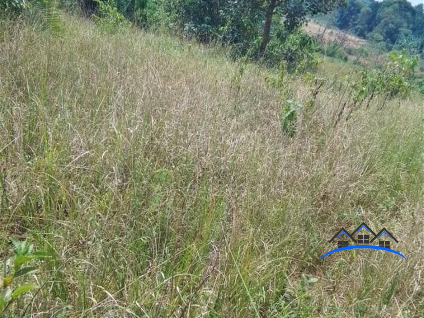 Farm for sale in Bbaale Kayunga