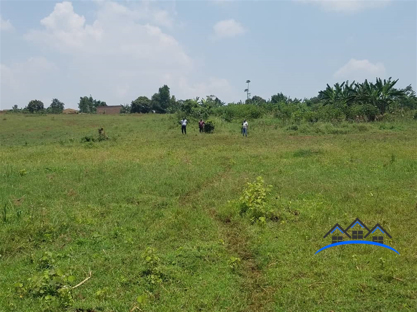 Farm for sale in Gayaza Wakiso