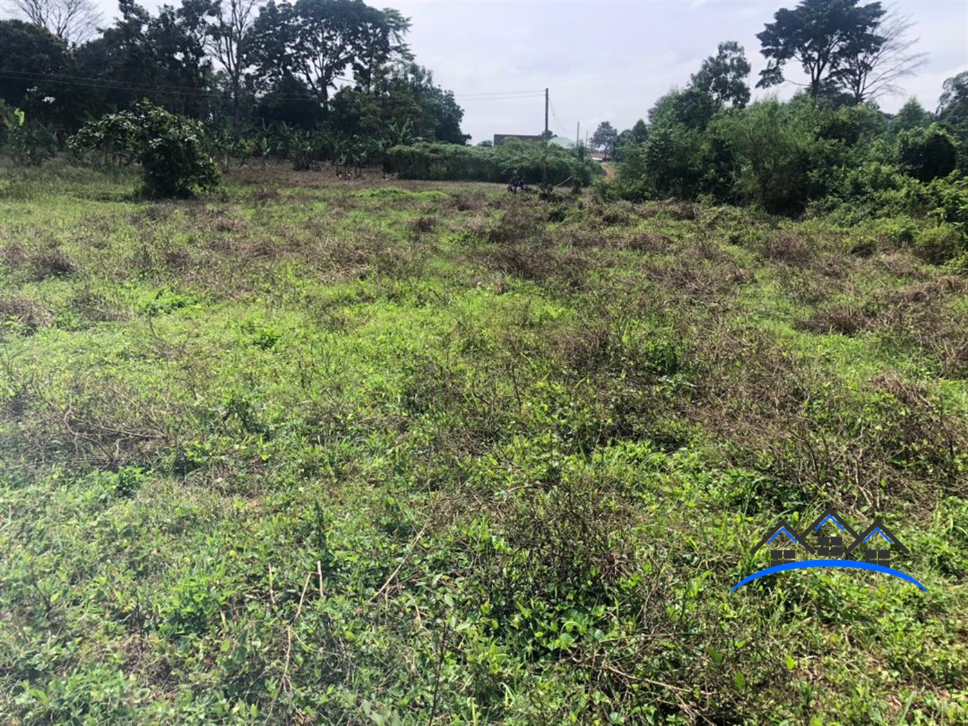 Farm for sale in Busiika Wakiso