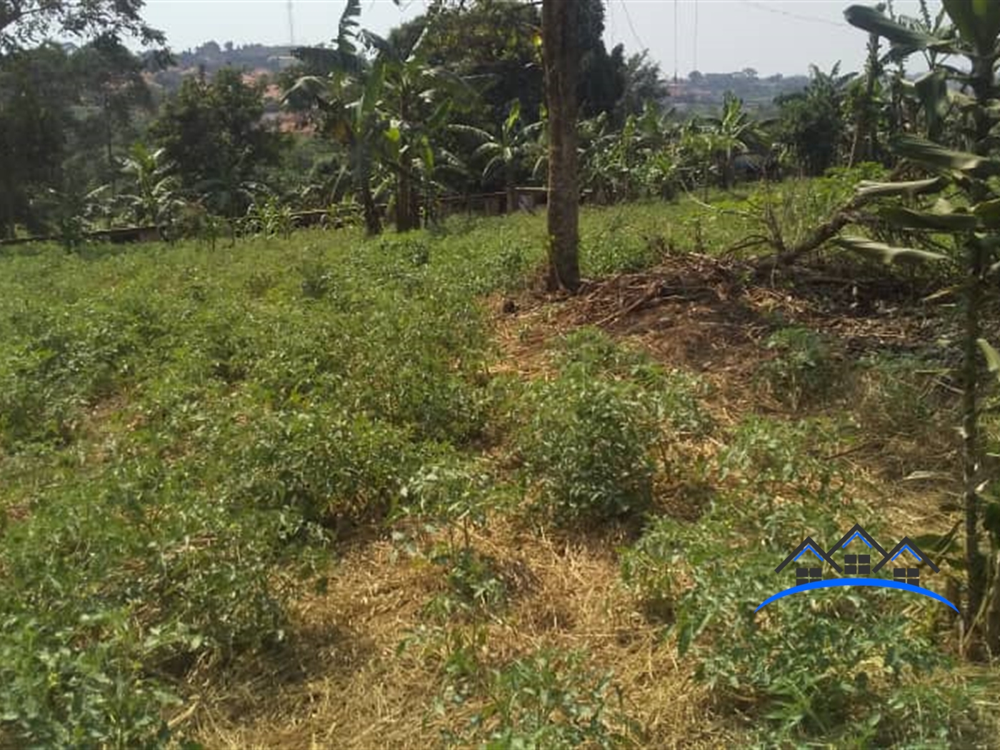 Residential Land for sale in Namugongo Wakiso