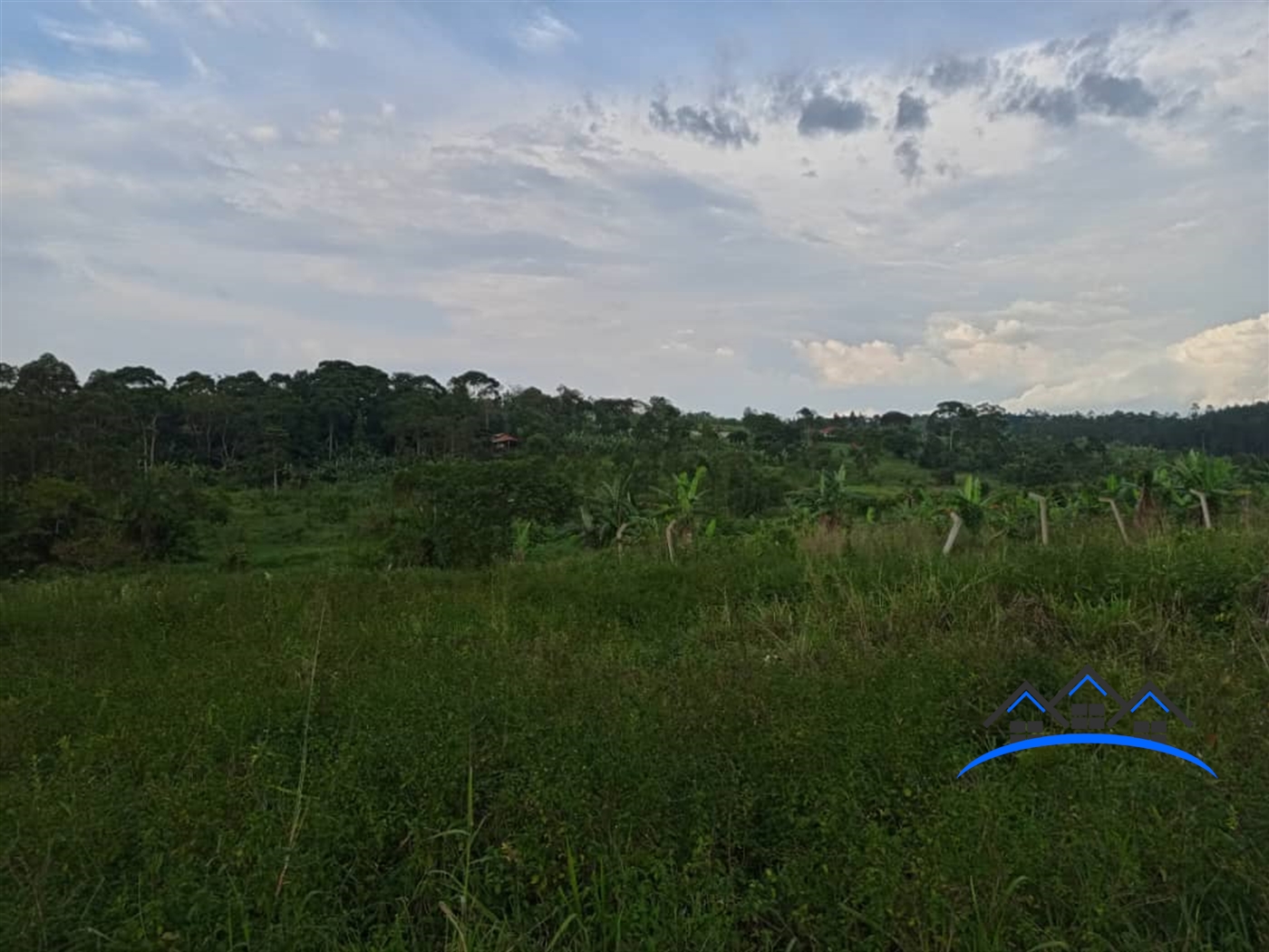 Residential Land for sale in Bukeelele Mukono