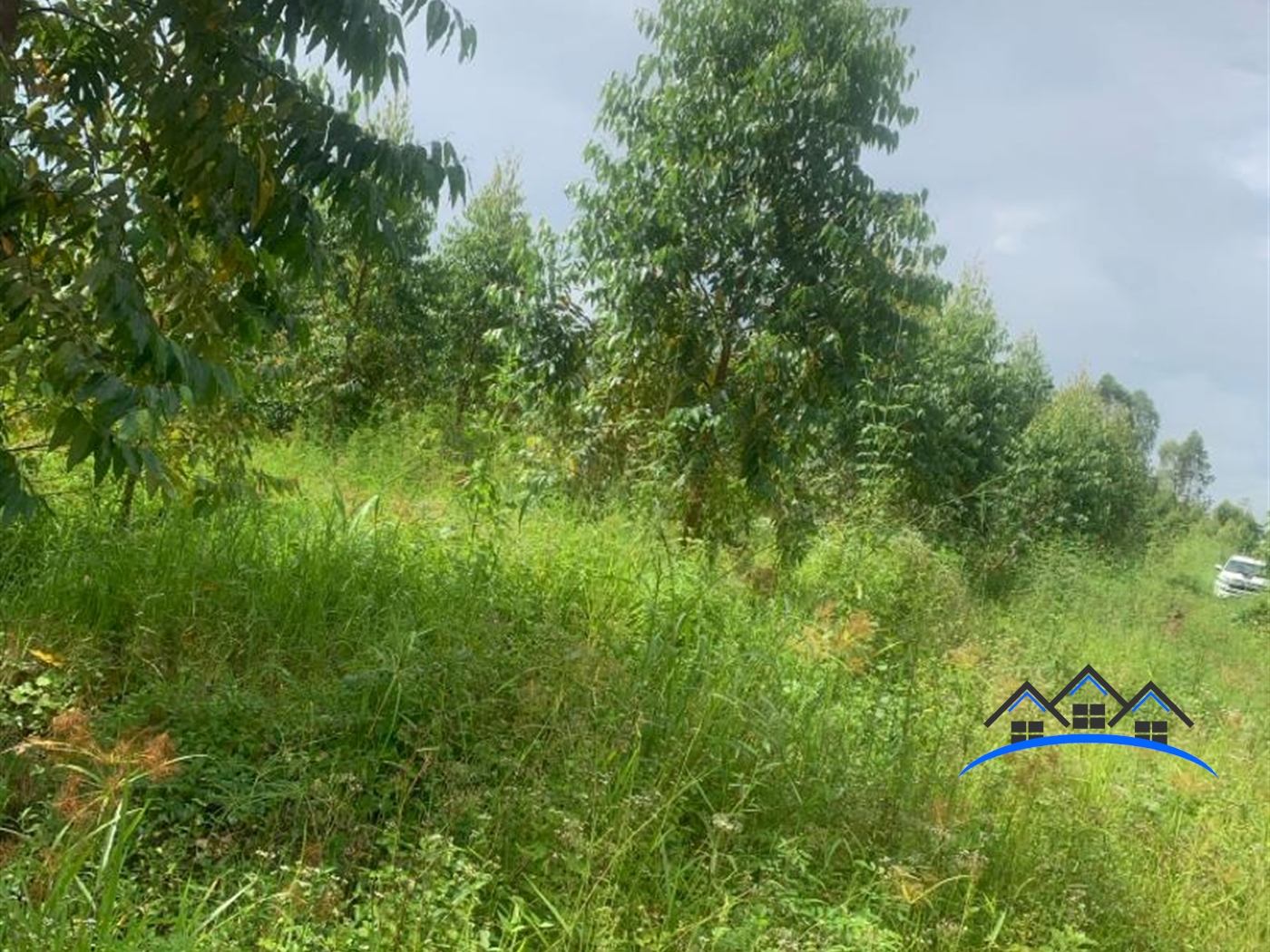 Farm for sale in Wabitungulu Luweero