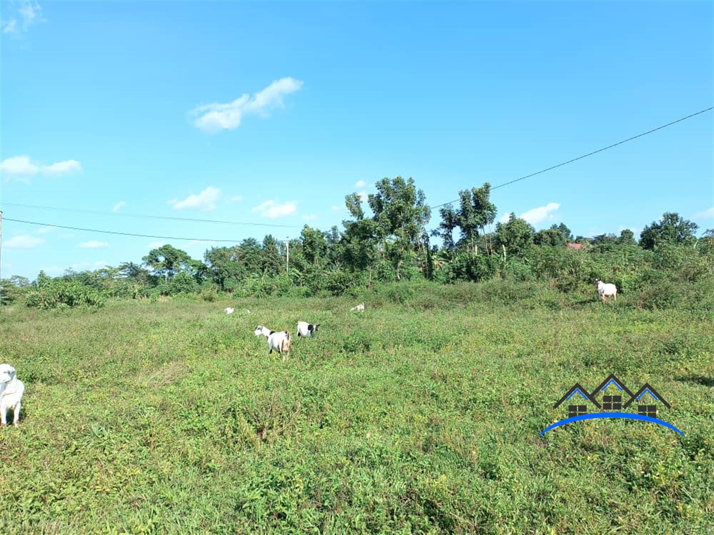 Residential Land for sale in Namugongo Wakiso