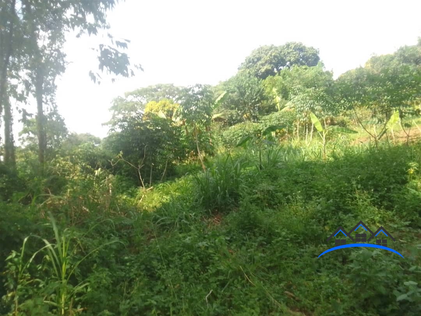 Industrial Land for sale in Kakiri Wakiso