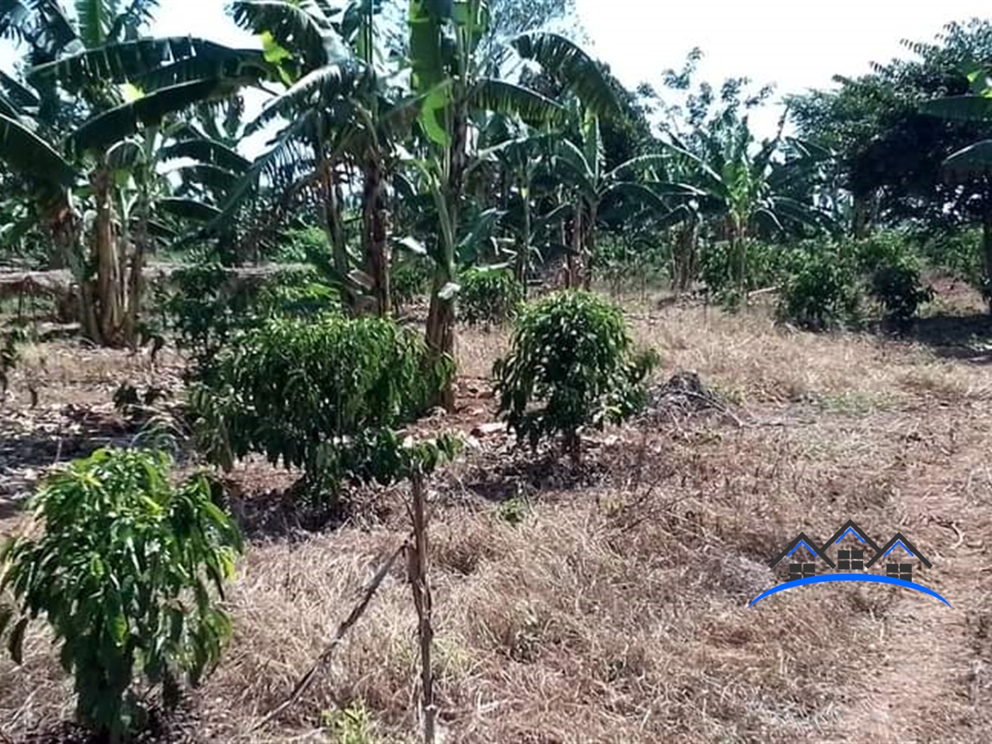 Agricultural Land for sale in Kikyuusa Luweero