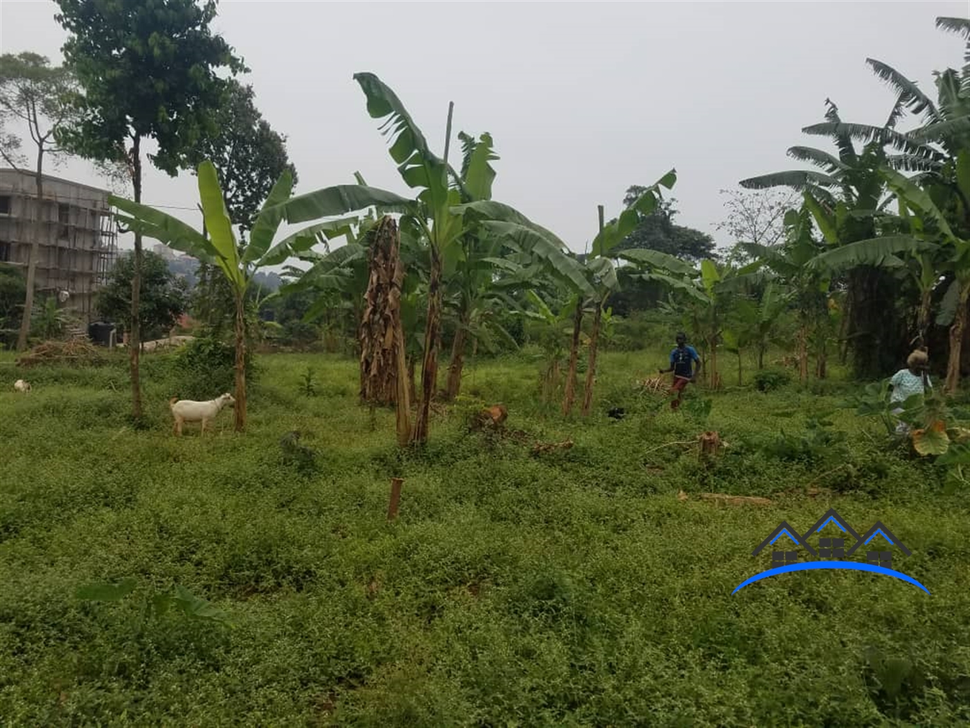 Residential Land for sale in Kawempe Kampala