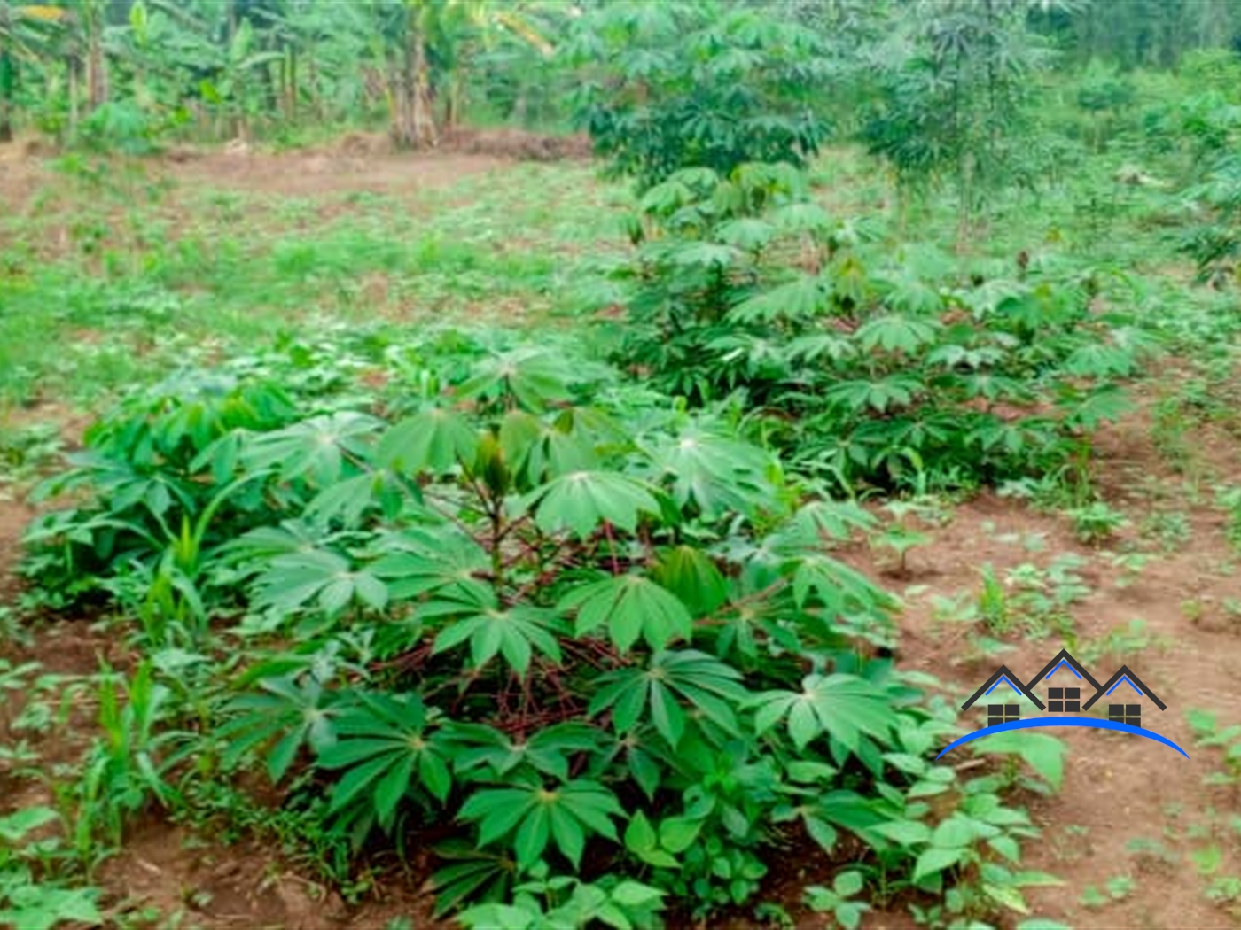 Residential Land for sale in Kavule Wakiso