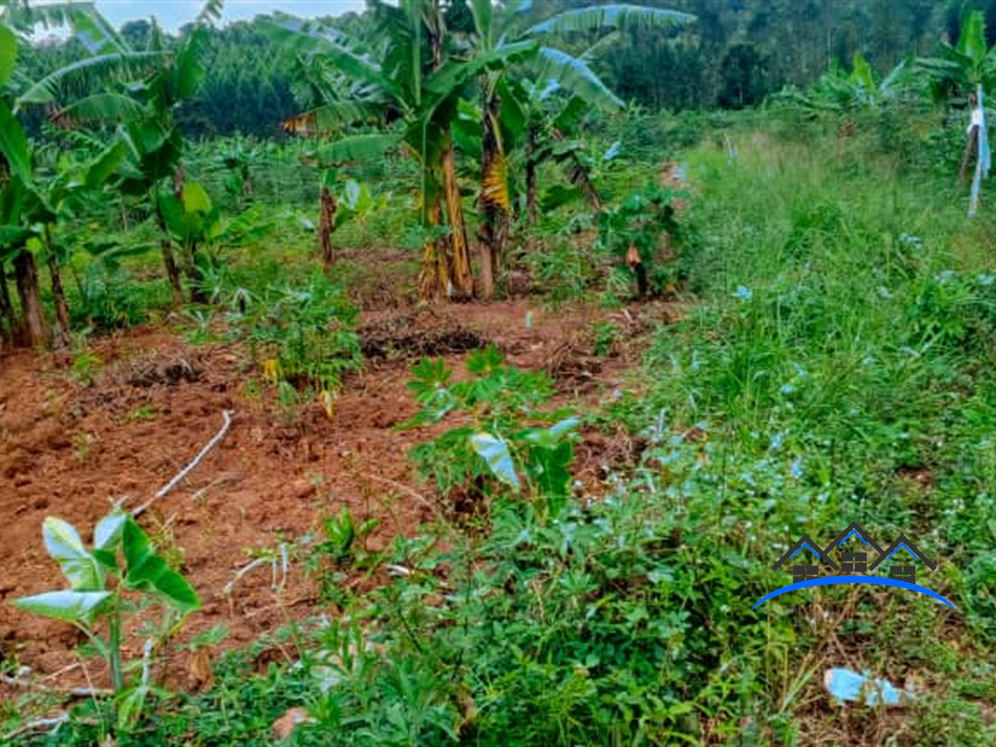 Residential Land for sale in Kavule Wakiso