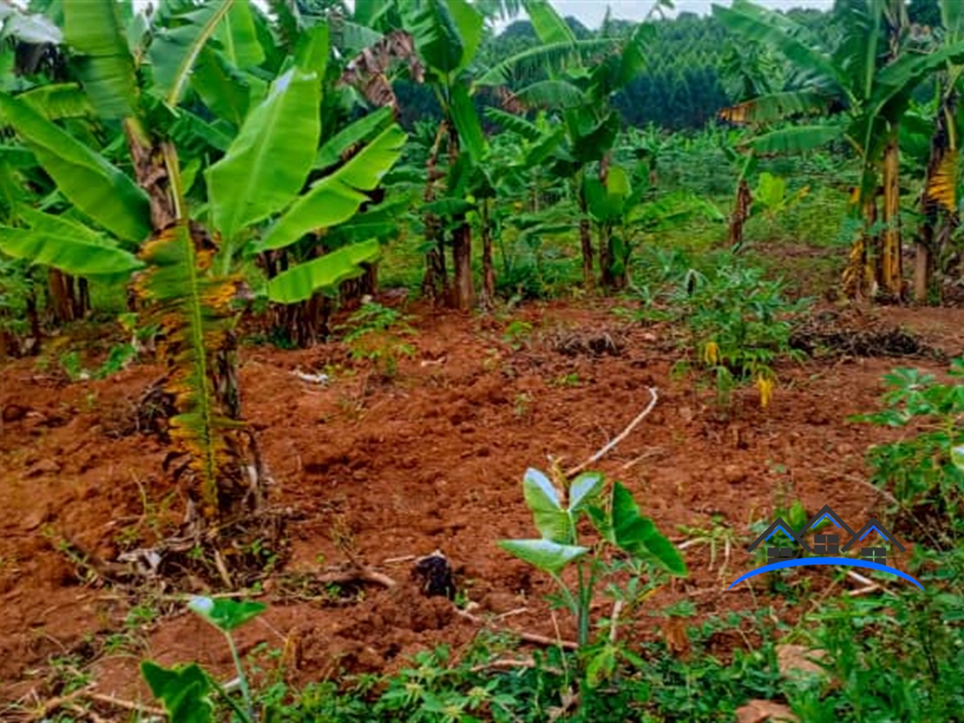 Residential Land for sale in Kavule Wakiso