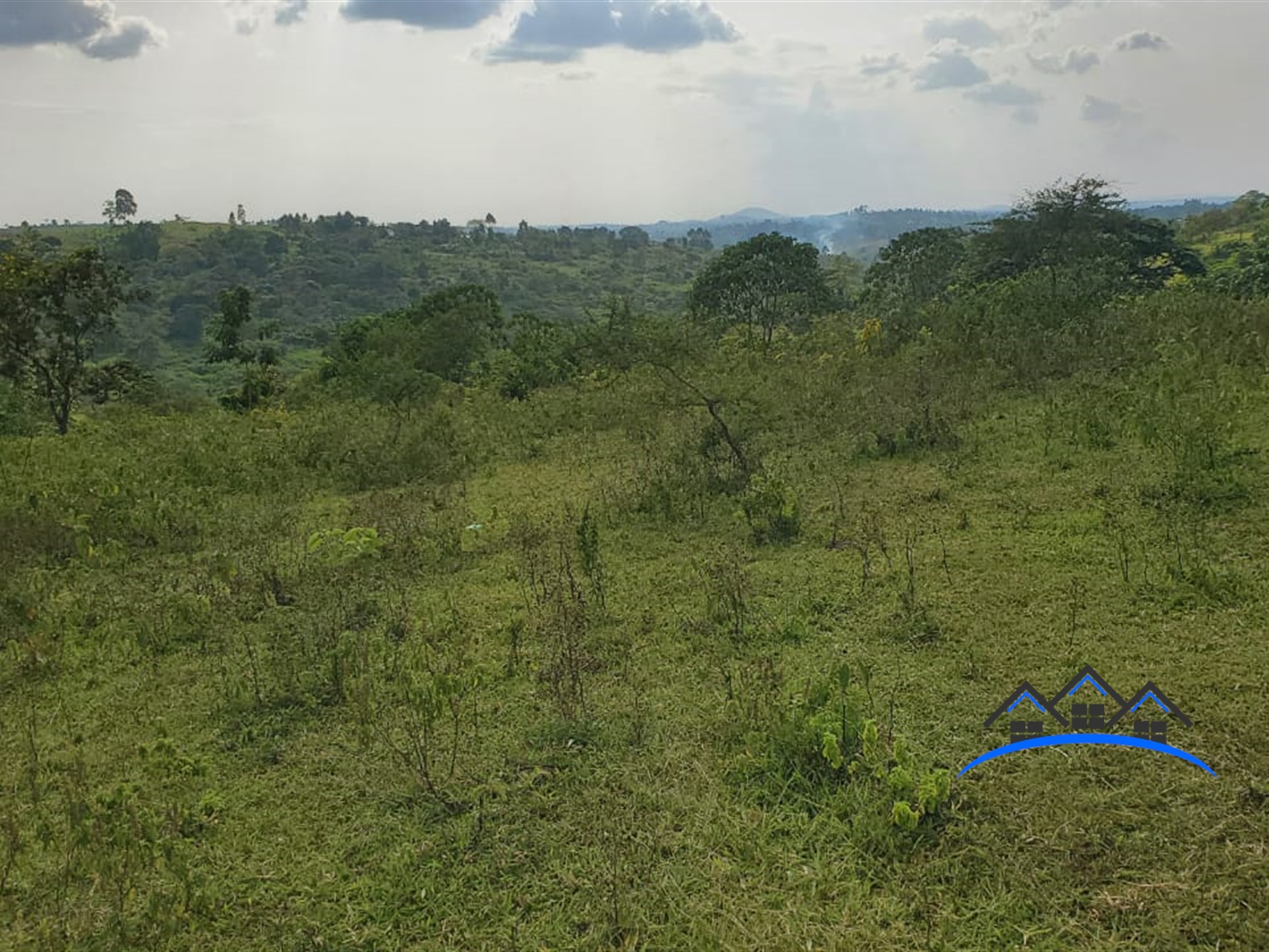 Joint investment land for sale in Kamengo Mpigi