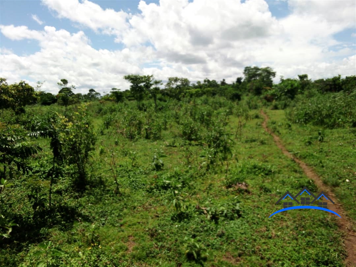 Joint investment land for sale in Kamengo Mpigi