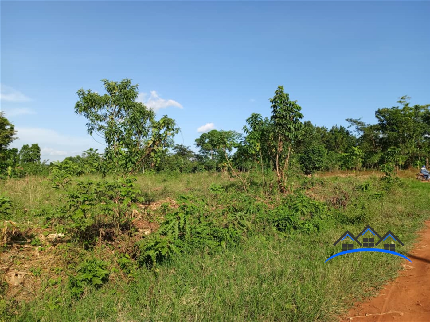 Joint investment land for sale in Sonde Mukono