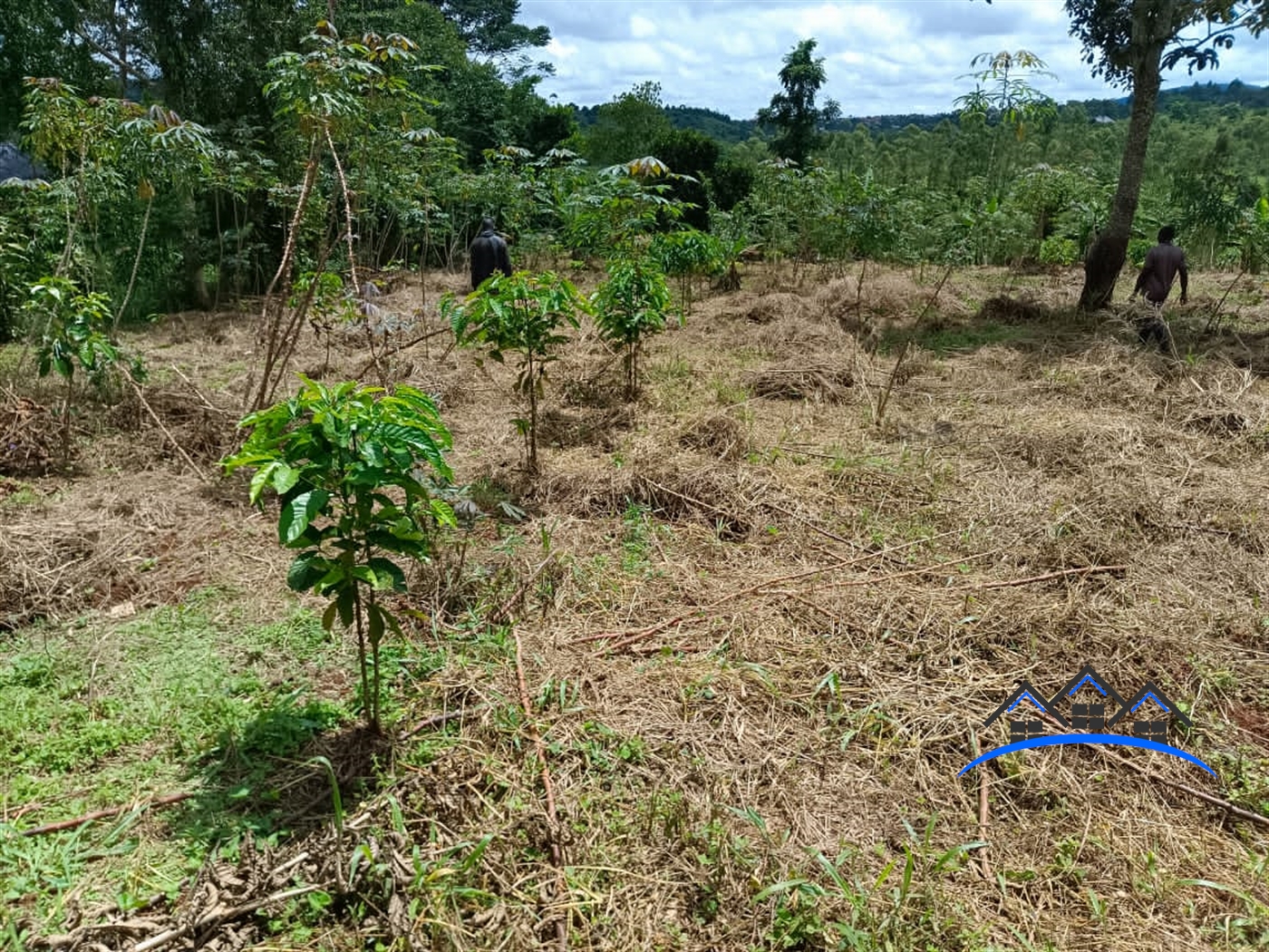 Farm for sale in Kisoga Mukono