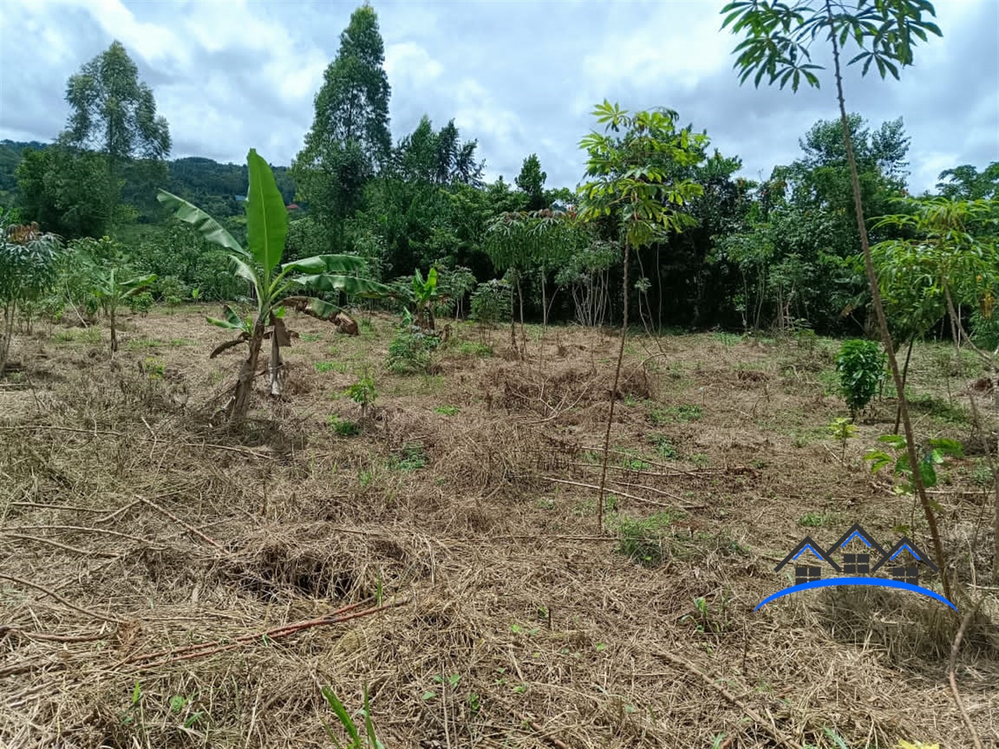 Farm for sale in Kisoga Mukono