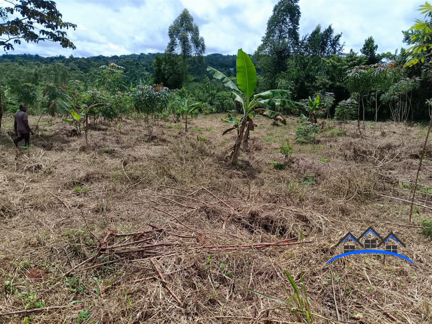 Farm for sale in Kisoga Mukono