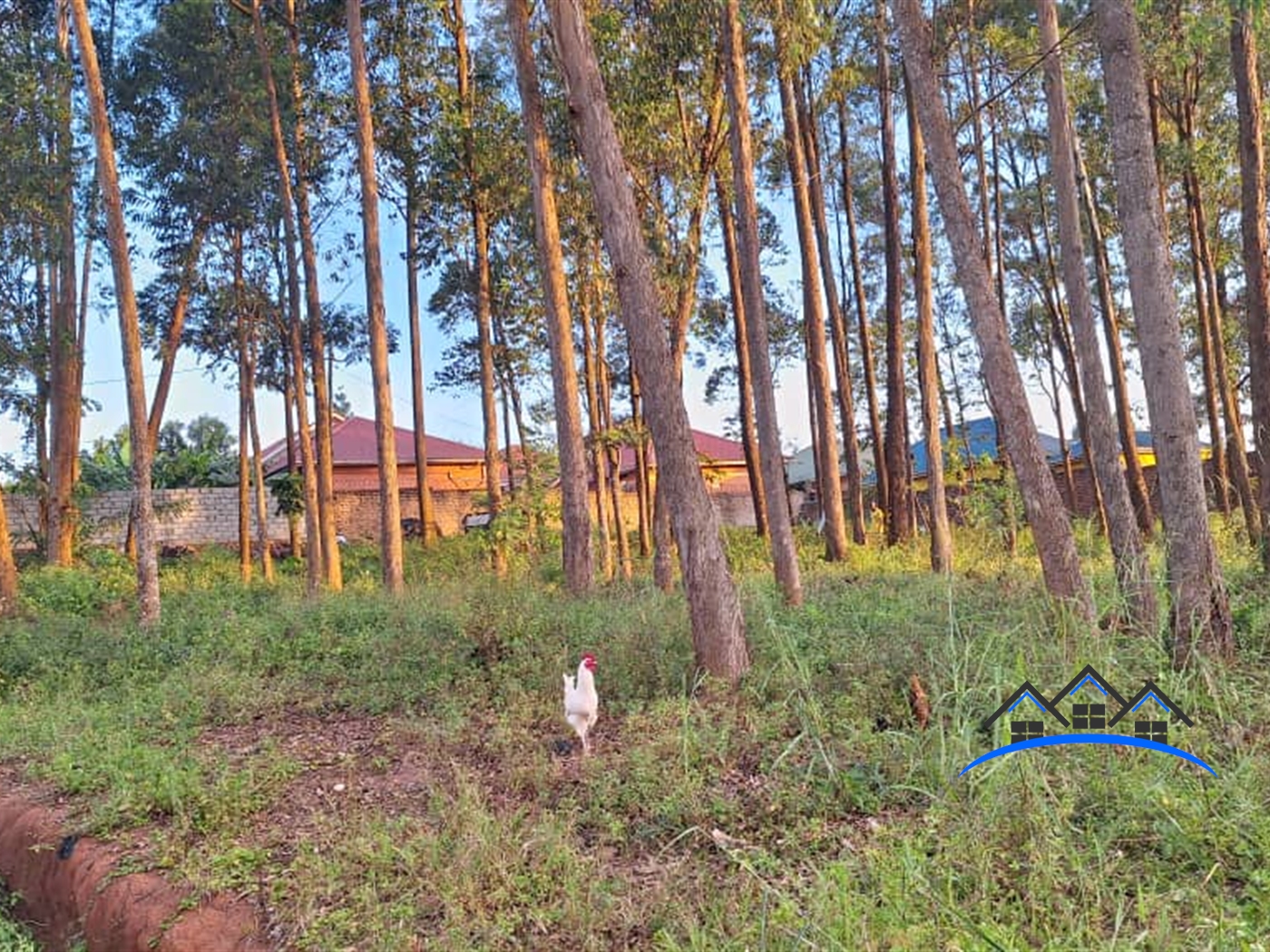 Residential Land for sale in Kira Wakiso