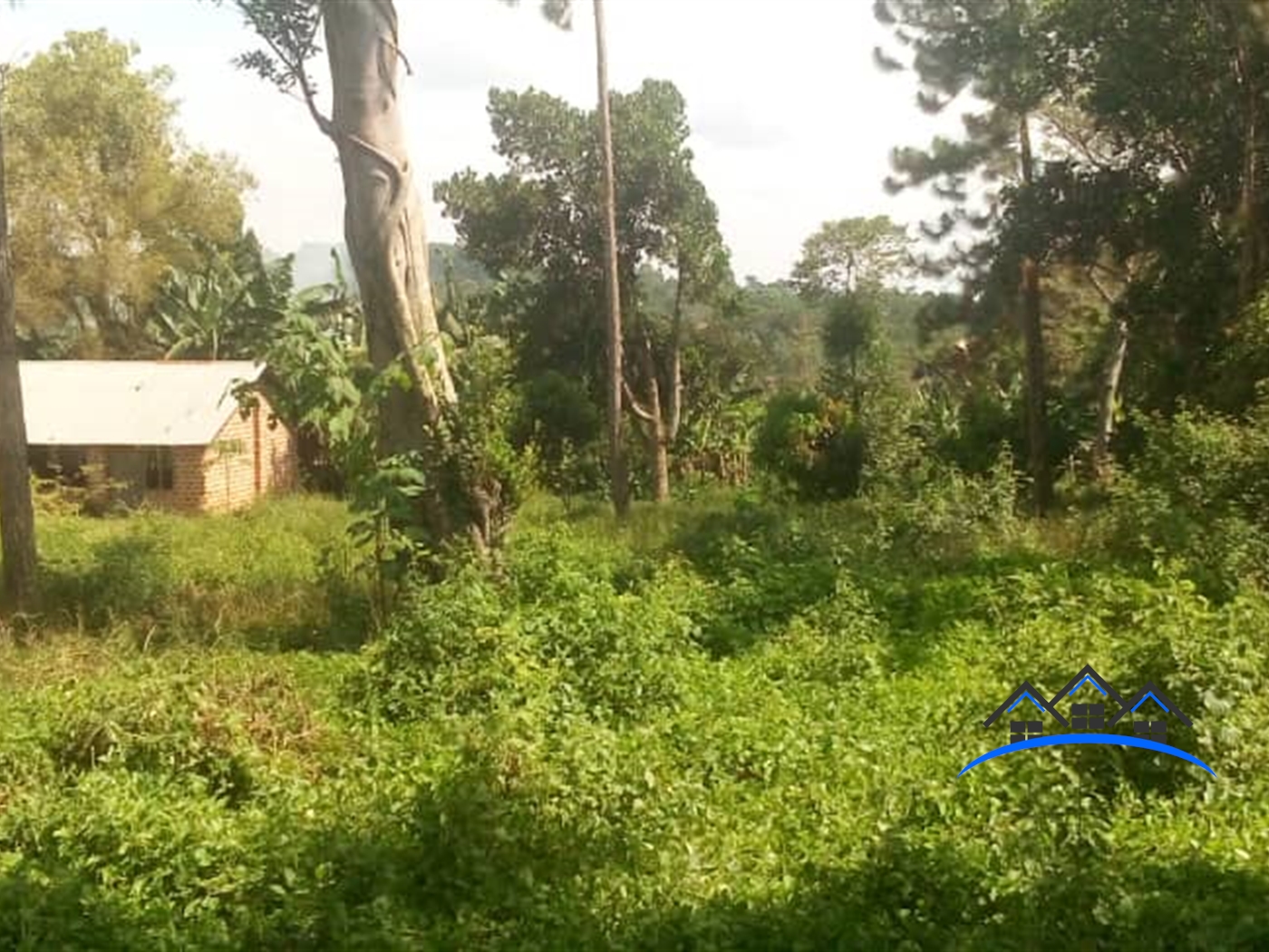 Residential Land for sale in Namayenje Mukono