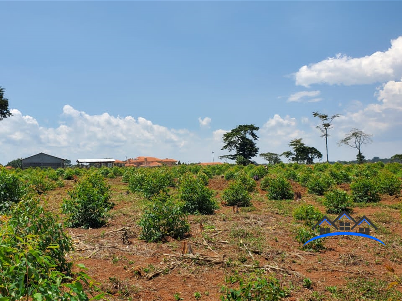 Residential Land for sale in Buwaya Wakiso