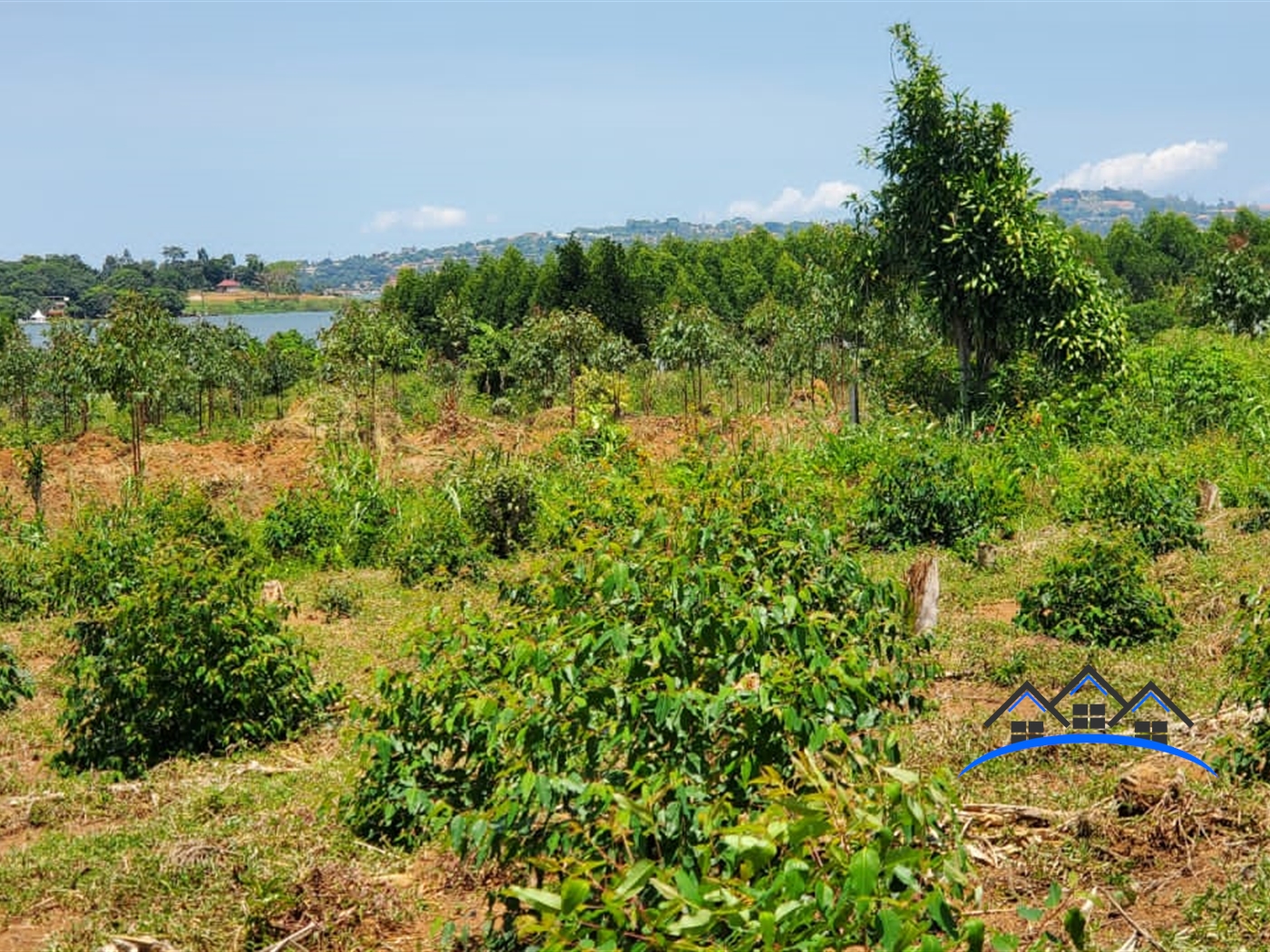 Residential Land for sale in Buwaya Wakiso