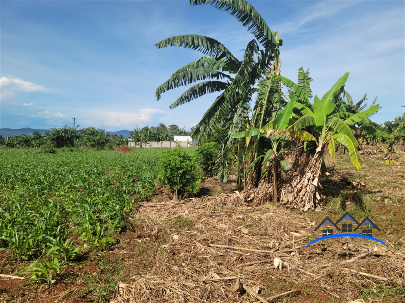 Residential Land for sale in Bwelenga Wakiso