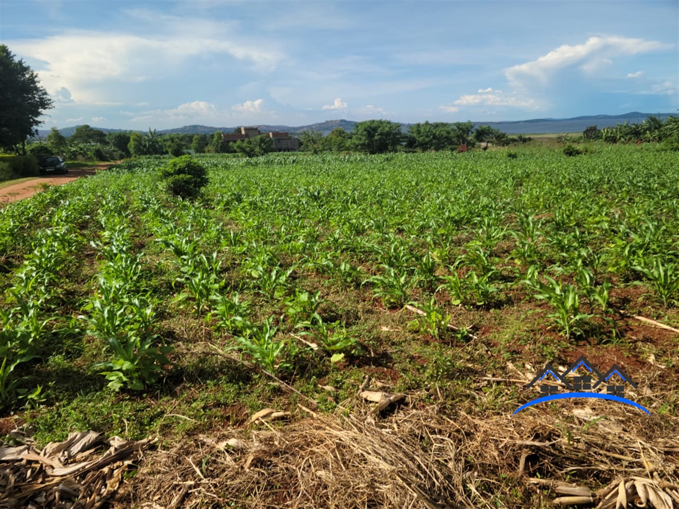 Residential Land for sale in Bwelenga Wakiso