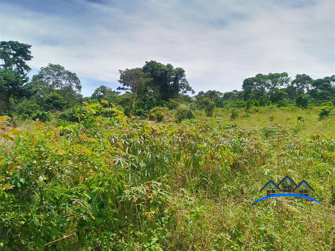 Recreational Land for sale in Ntegeru Mukono