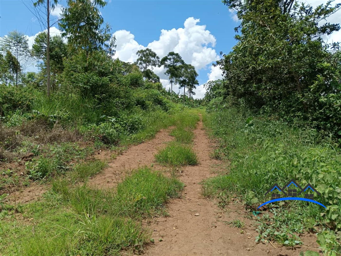 Joint investment land for sale in Namugongo Mukono