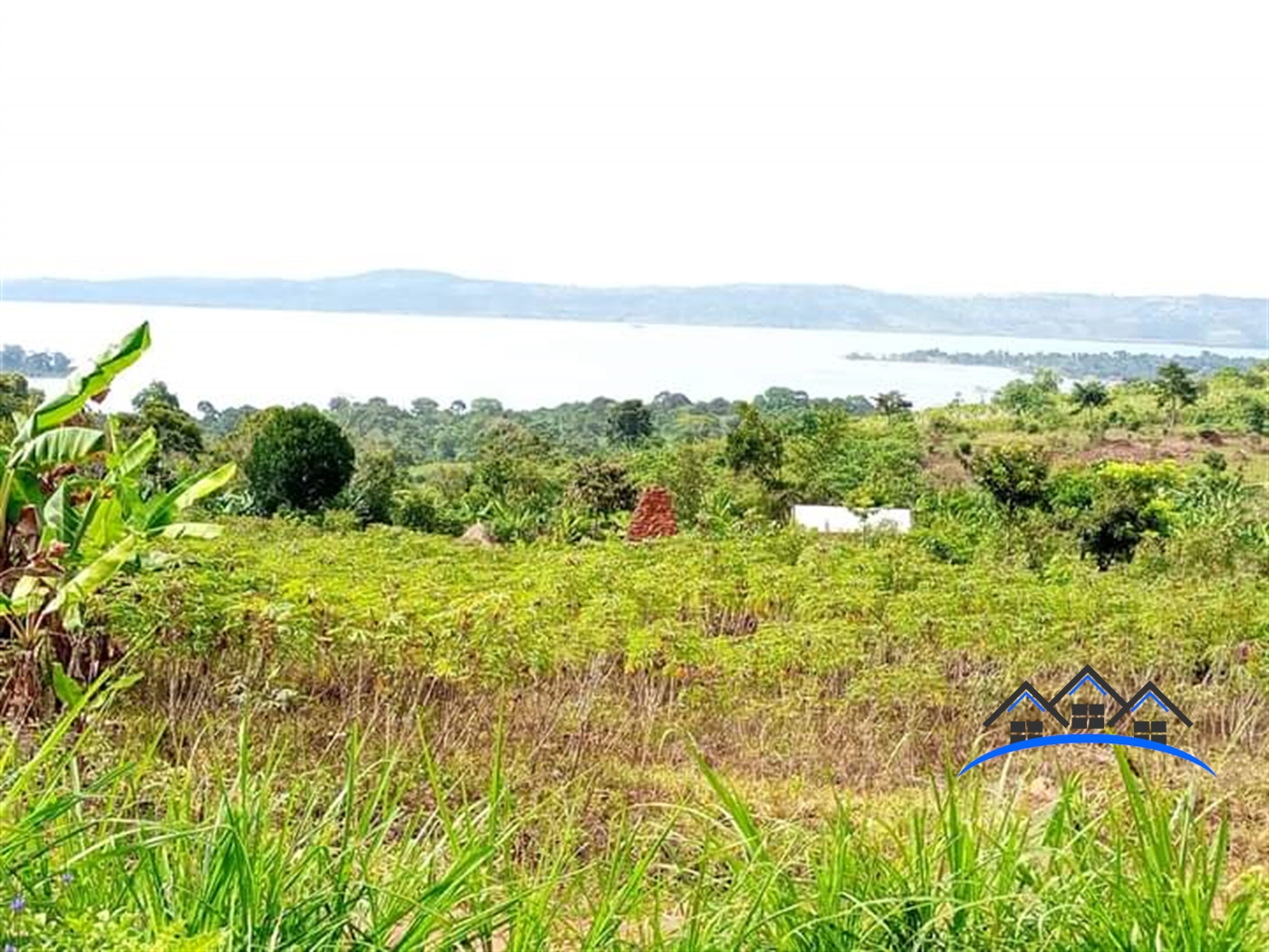 Agricultural Land for sale in Buwooya Iganga