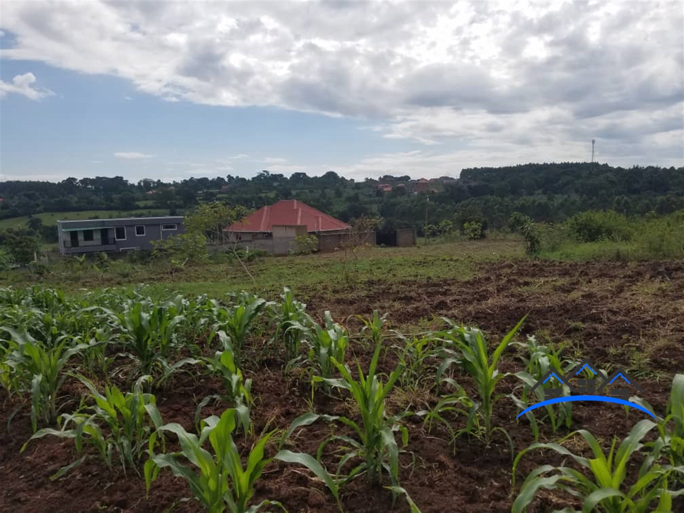 Residential Land for sale in Mpererwe Kampala