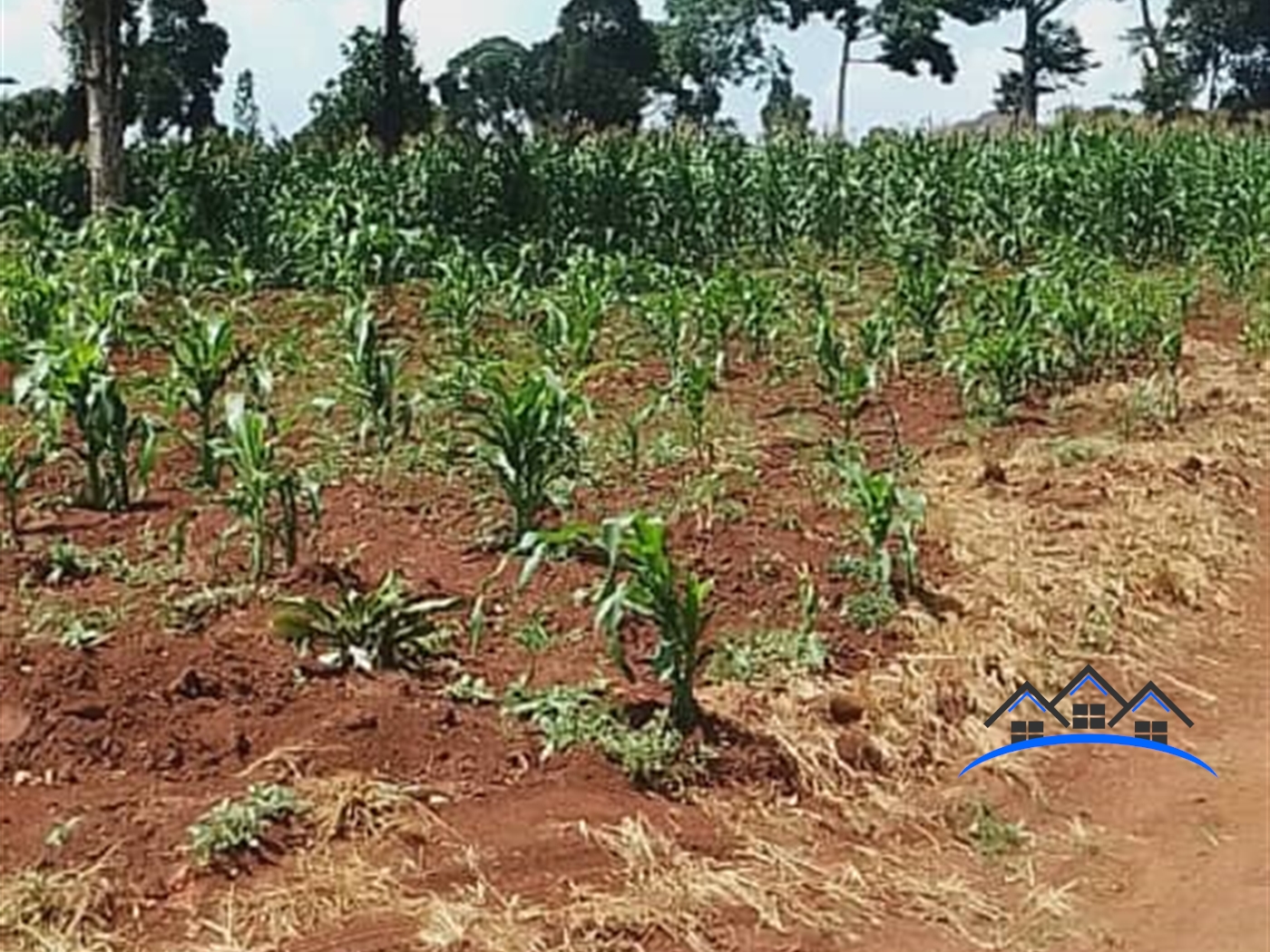 Residential Land for sale in Kawuku Wakiso