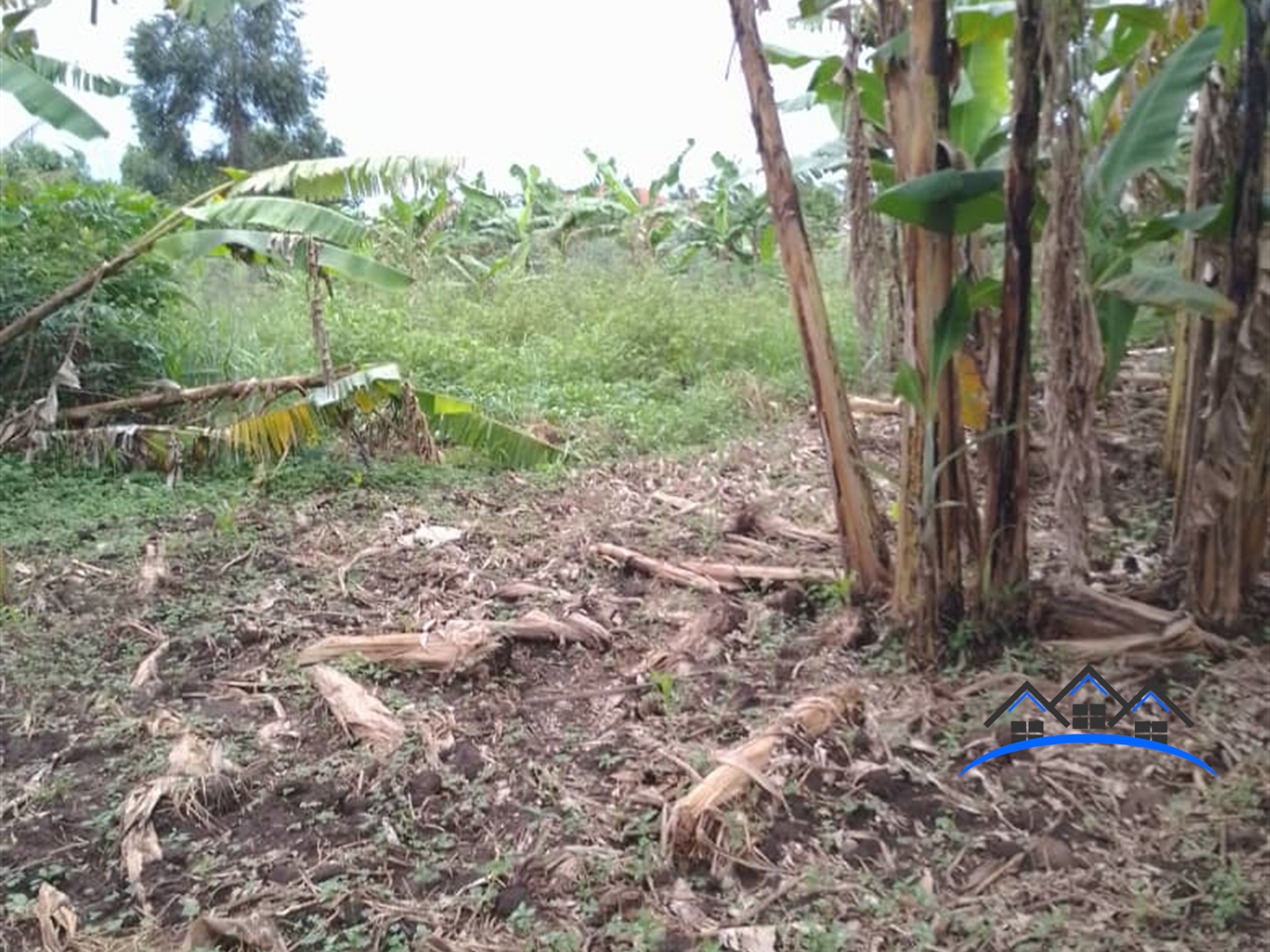 Agricultural Land for sale in Busiika Luweero