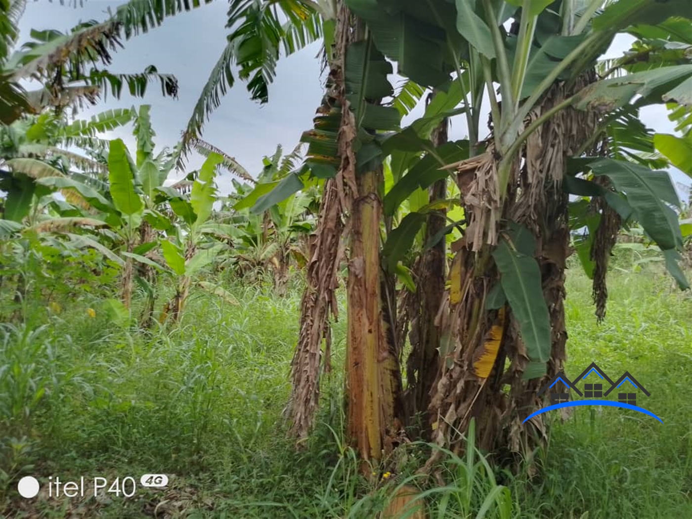 Agricultural Land for sale in Busiika Luweero