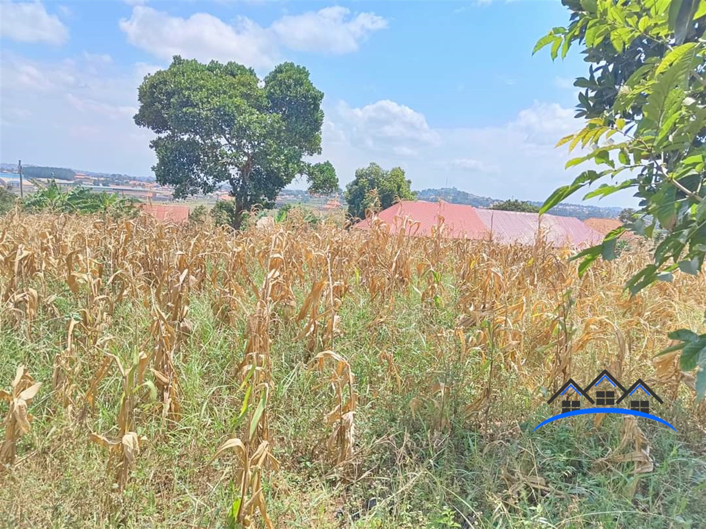 Agricultural Land for sale in Seeta Wakiso