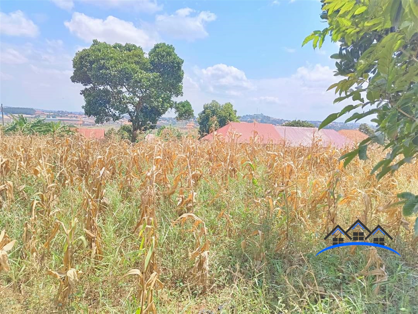 Agricultural Land for sale in Seeta Wakiso