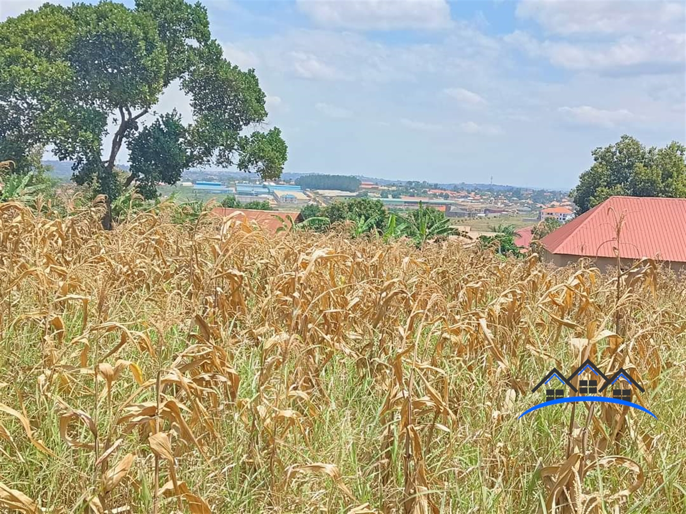 Agricultural Land for sale in Seeta Wakiso