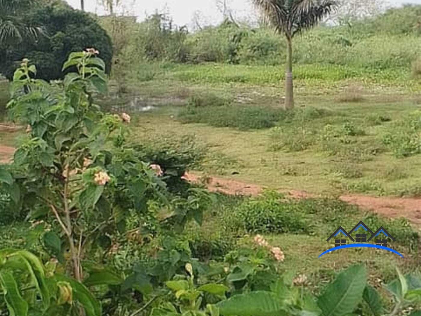 Residential Land for sale in Bwelenga Wakiso