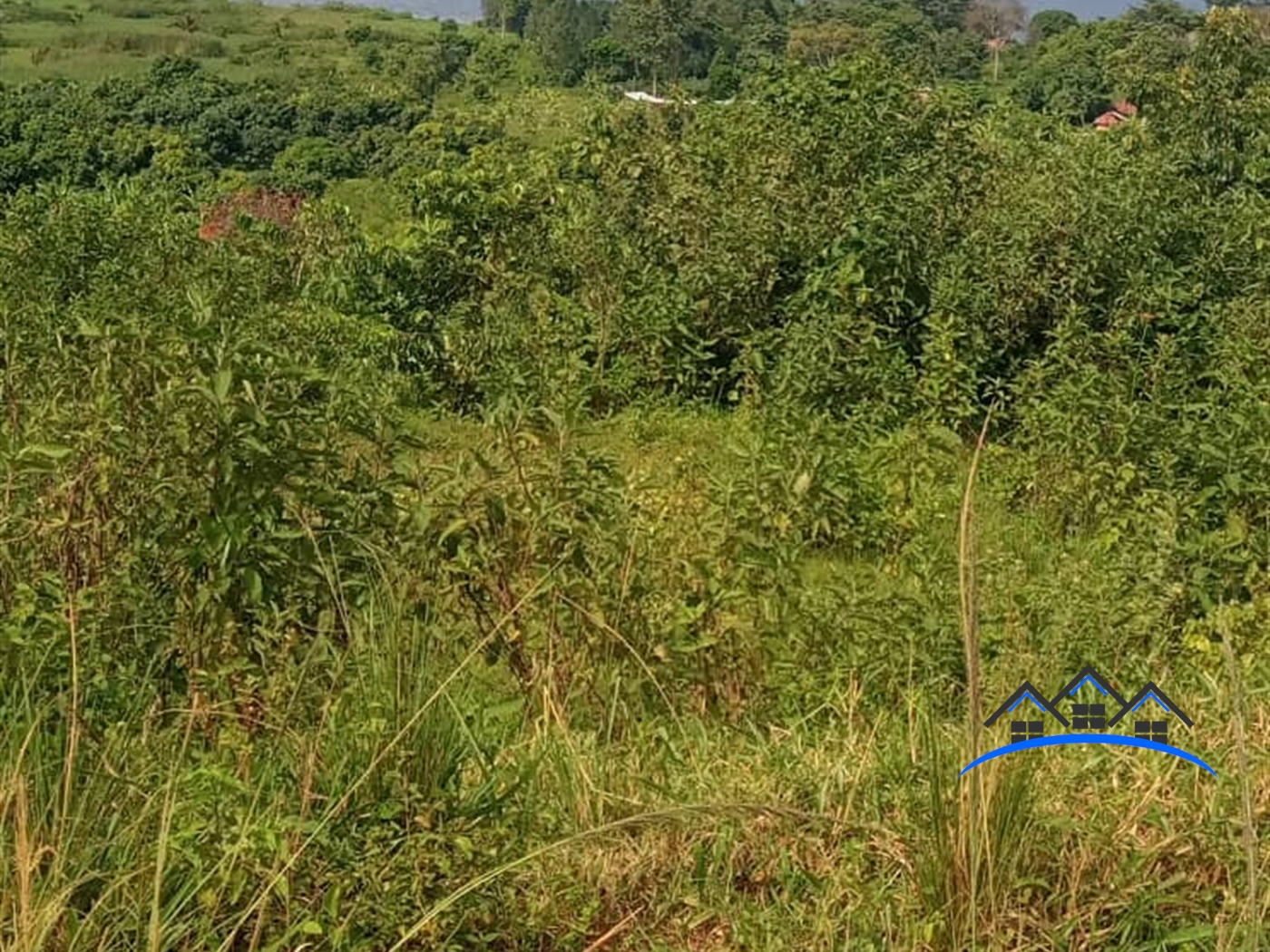 Residential Land for sale in Bugiribukasa Bugiri