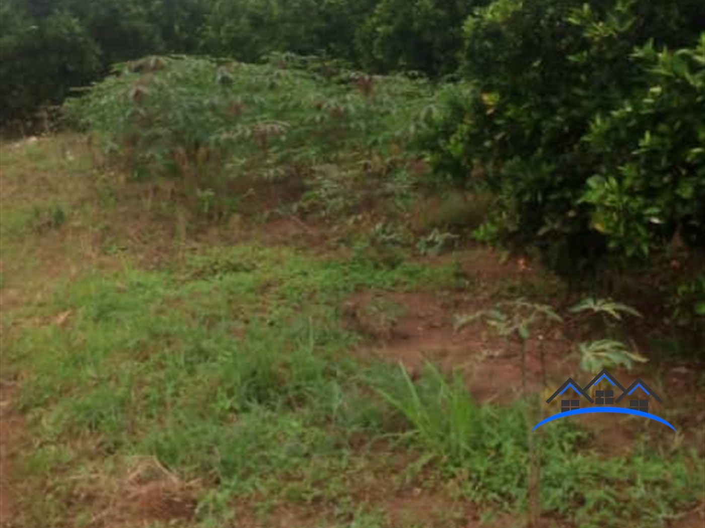 Residential Land for sale in Bugiribukasa Bugiri