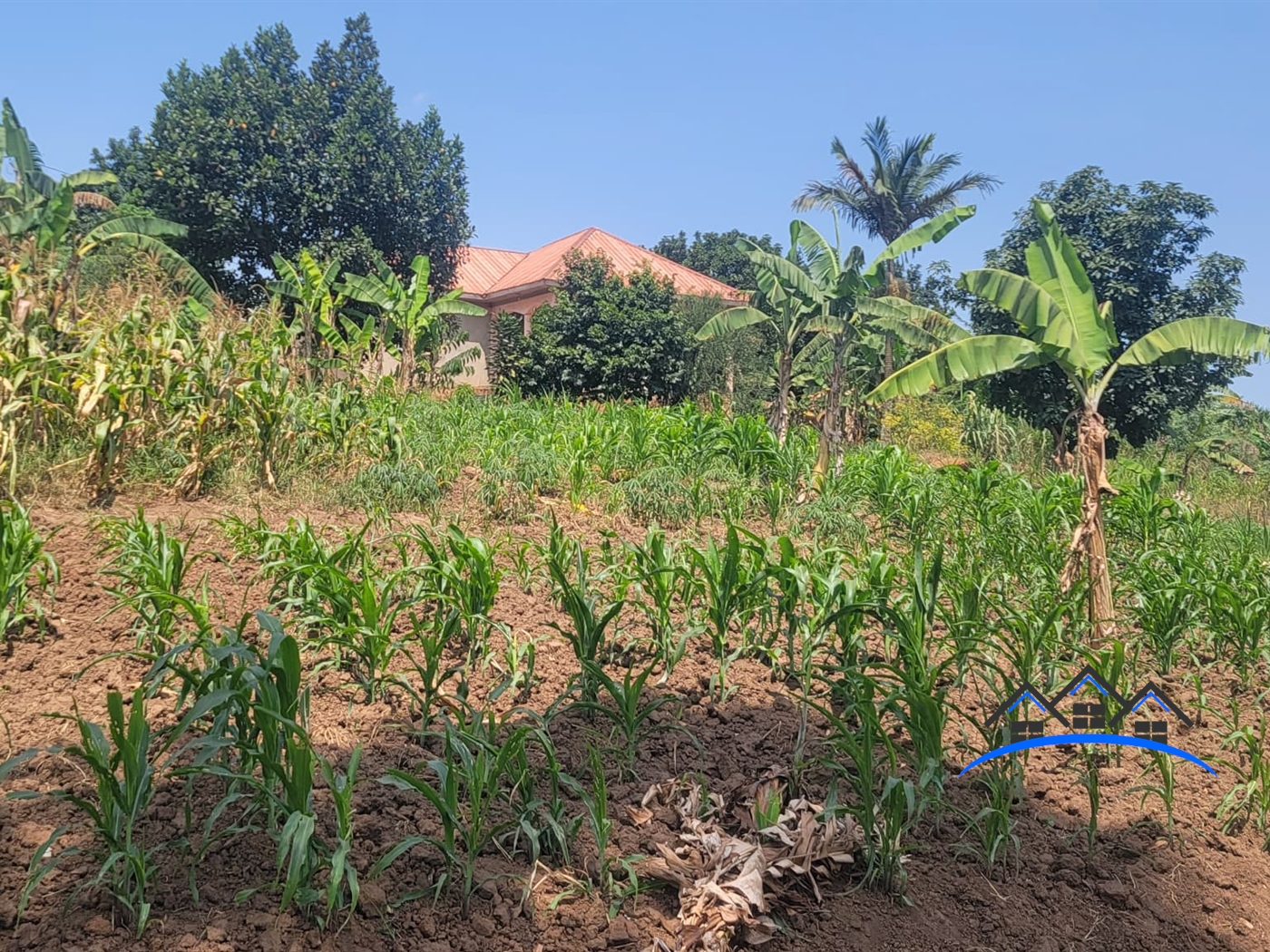 Residential Land for sale in Nsasaestate Wakiso