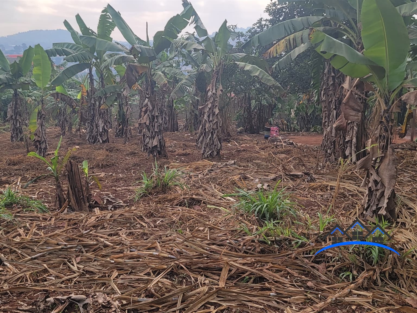 Residential Land for sale in Nsasa Wakiso