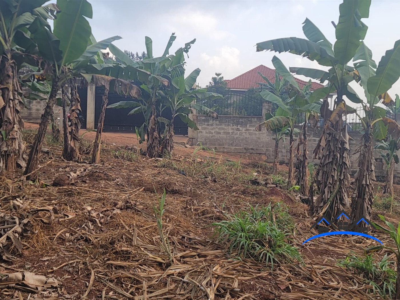 Residential Land for sale in Nsasa Wakiso