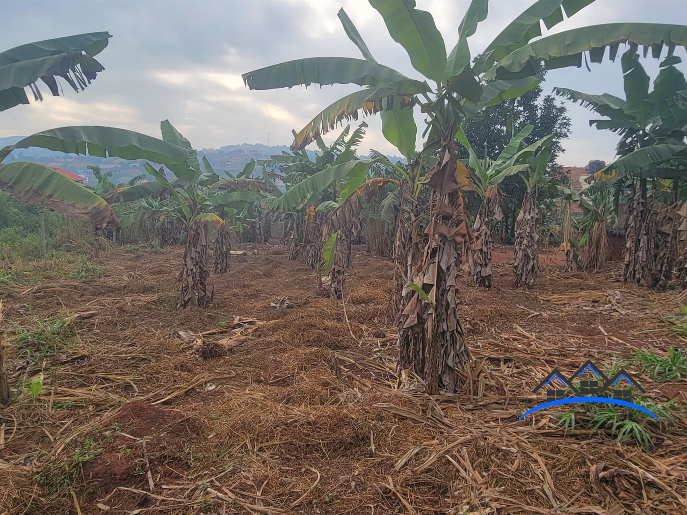 Residential Land for sale in Nsasa Wakiso