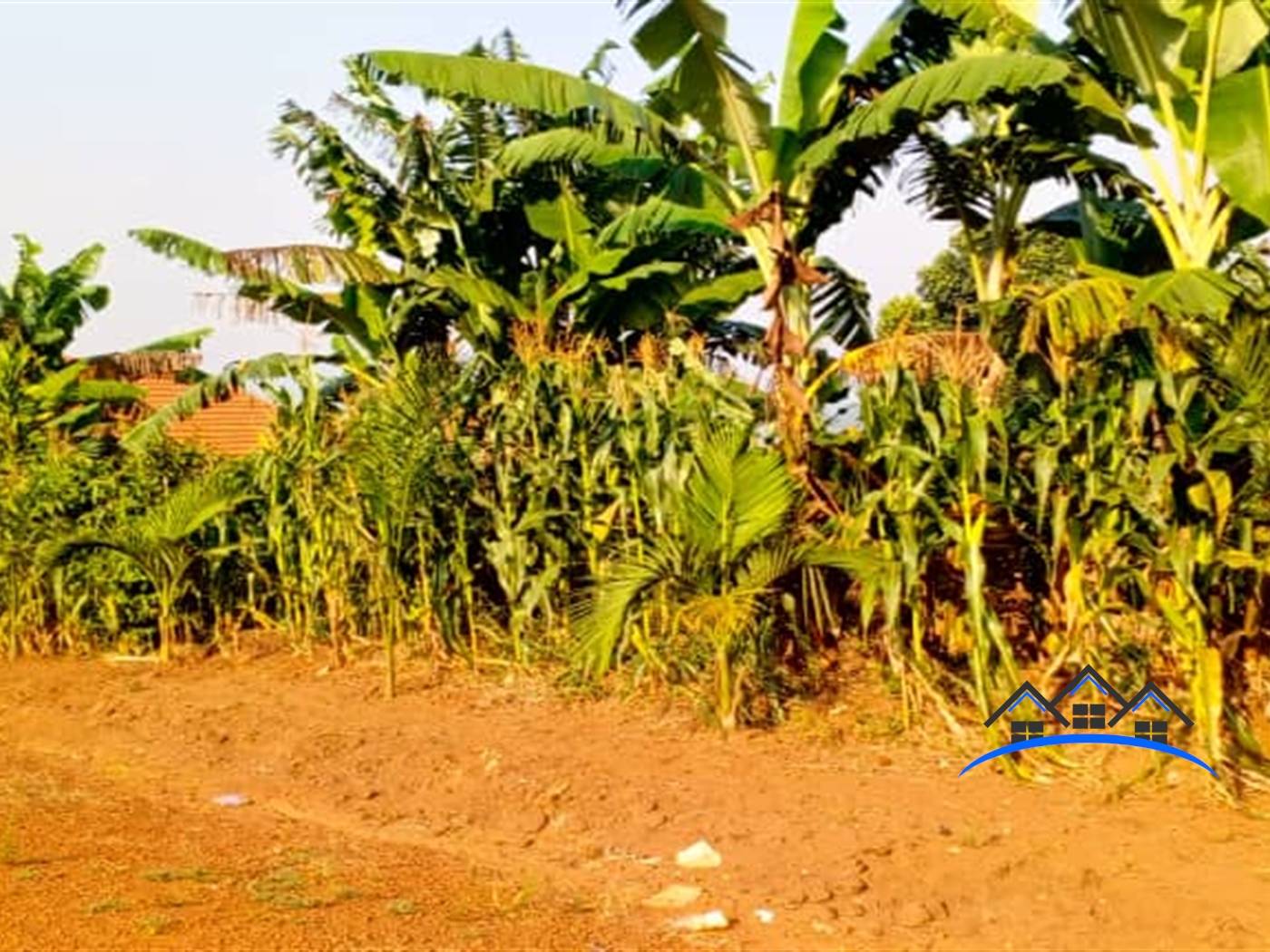 Residential Land for sale in Ssanga Wakiso